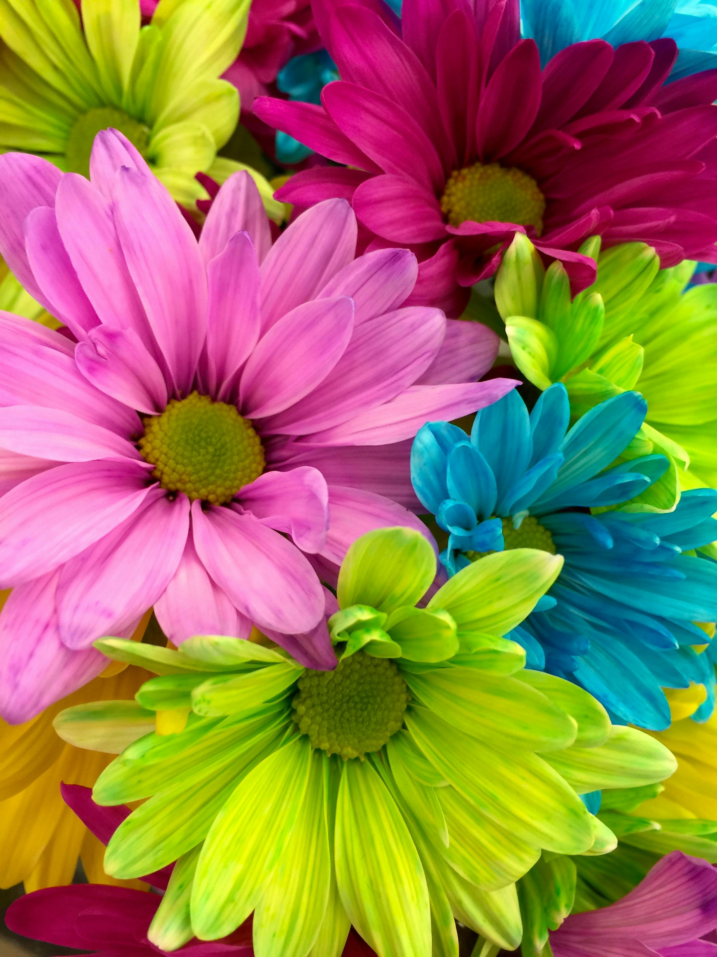 Flowers
